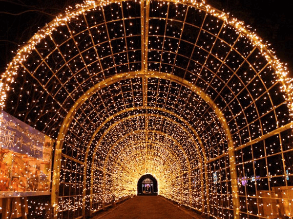 京都イルミエール 天空の森 希望の灯火